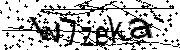 Anti-Bot verification code image